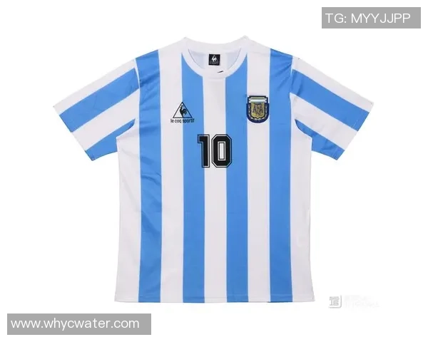 出售足球明星签名球衣的商家与市场前景分析 出售足球明星签名球衣的商家与市场前景分析