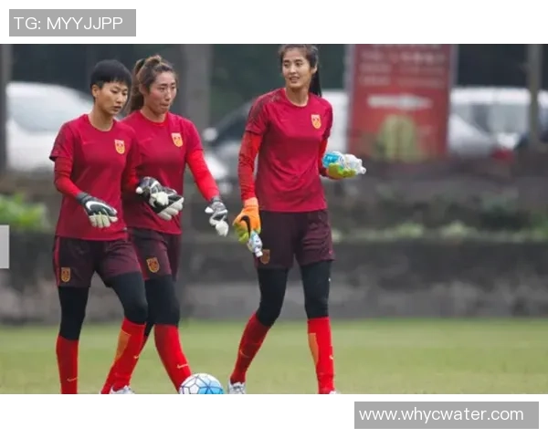 巾帼不让须眉当代女足球星拼搏与荣耀追梦之路