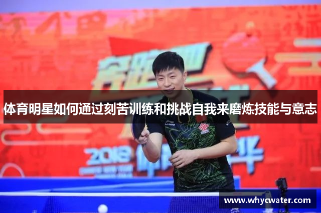 体育明星如何通过刻苦训练和挑战自我来磨炼技能与意志