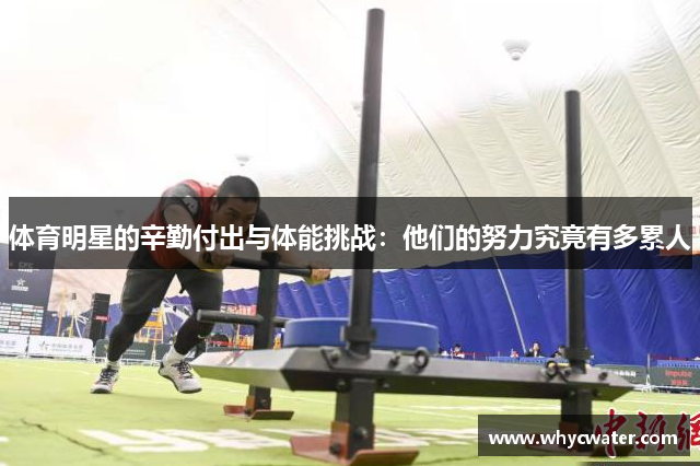 体育明星的辛勤付出与体能挑战：他们的努力究竟有多累人
