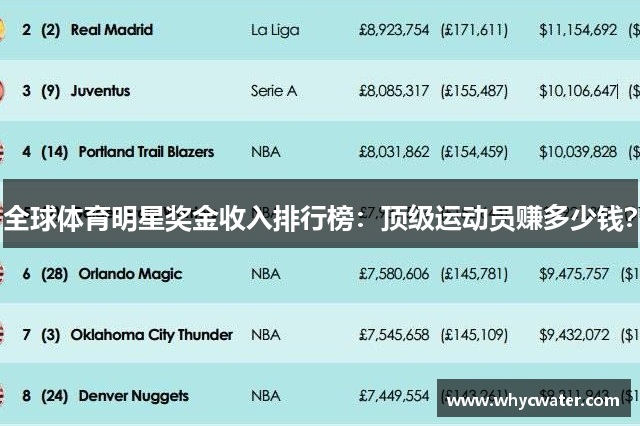 全球体育明星奖金收入排行榜：顶级运动员赚多少钱？