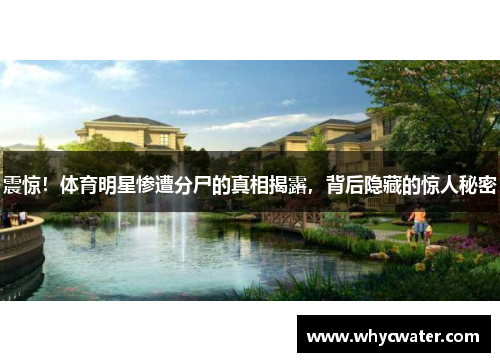 震惊！体育明星惨遭分尸的真相揭露，背后隐藏的惊人秘密